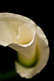 Cala Lilly